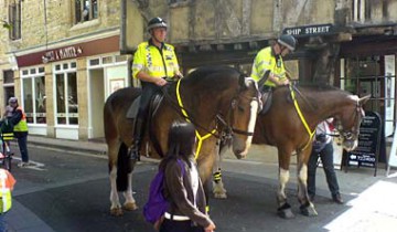 Police horses in high-vis garb