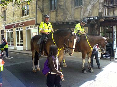 police horses wearing high-vis harnesses