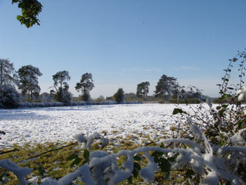 A snowy field in the English Chilterns