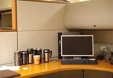 Office cubicle with lots of coffee mugs lined up on the desk