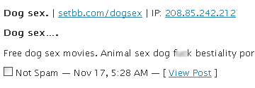 Spam comment offering a link to dog sex videos