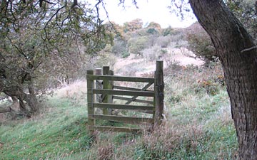 A single gate in the middle of a field