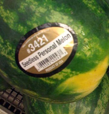 A seedless personal melon