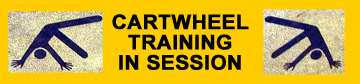 Cartwheel training in session sign