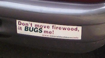 Don't move firewood, it BUGS me!