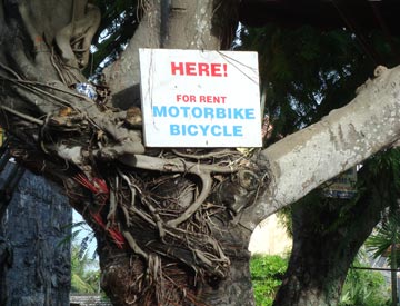 Here! for rent motorbike or bicycle