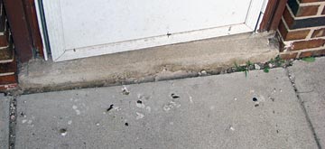 pigeon droppings at the door
