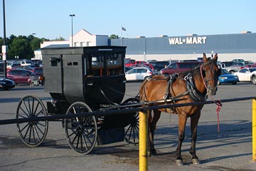 Carriage parked in a Walmart lot