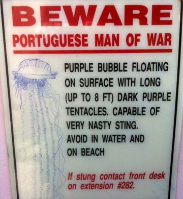Portguese Man of War warning sign