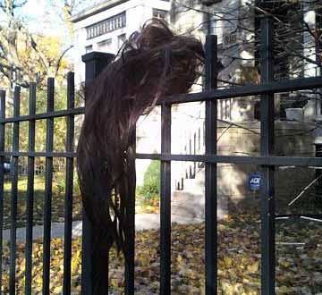 a wig of hair on a fence