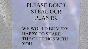 Sign about plant theft