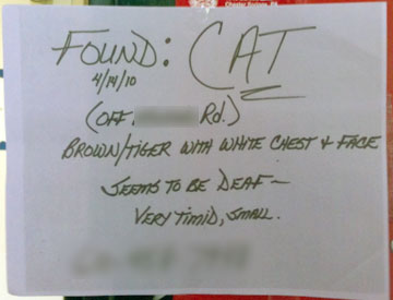 Found cat notice