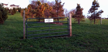 A gate with no fence