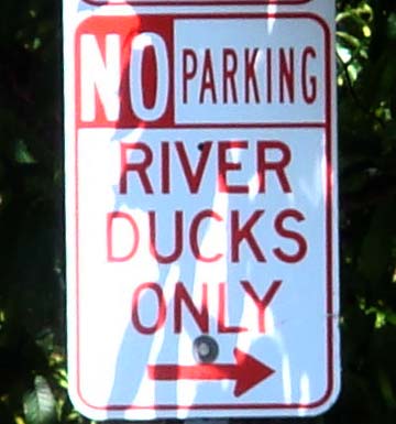 River Duck Parking Only