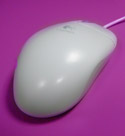 a computer mouse