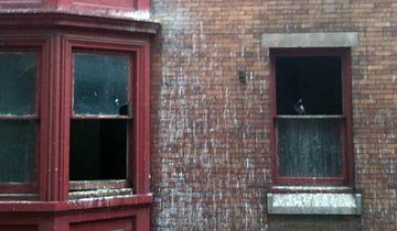 Pigeons in an abandoned building