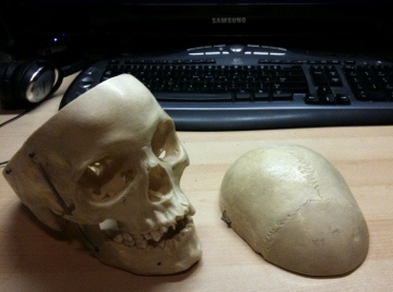 skull on desk