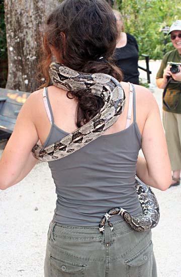 Snake wrapped around a woman's hair, neck and body
