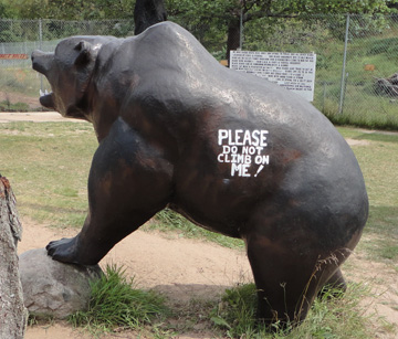 Bear Sign: Please do not climb on me!