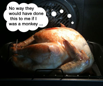 A turkey in the oven, saying No way they would have done this to me if I was a monkey ...