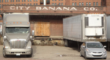 city banana company