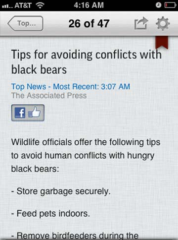 Screen shot of AP News story about black bears