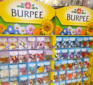 Burpee store display