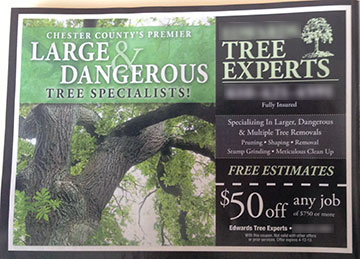 Large and dangerous tree specialists