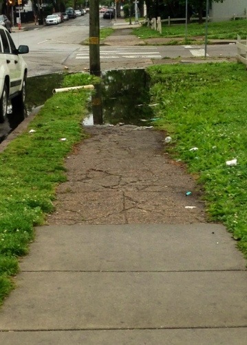 puddle on sidewalk