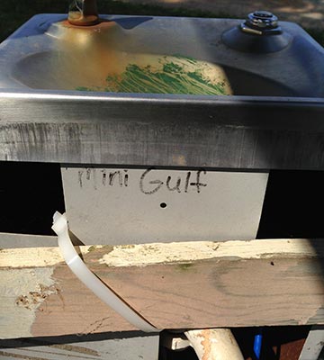 The words "Mini Gulf" written on a water fountain