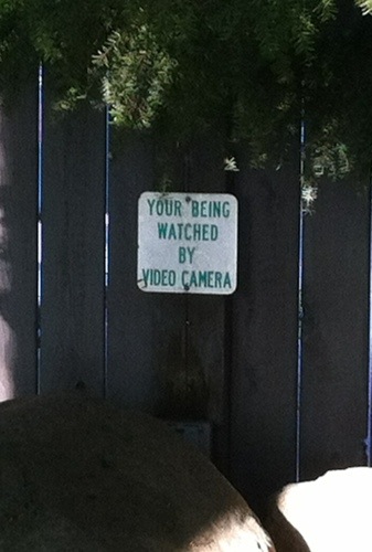 your-being-watched