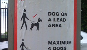 Dog instructions