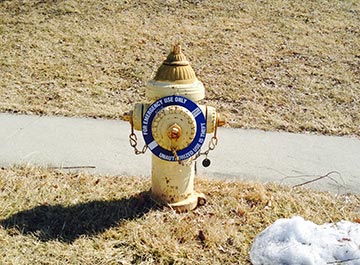 A yellow fire hydrant