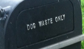 A dog waste bin