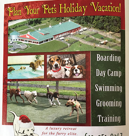 Plan your pet's holiday vacation
