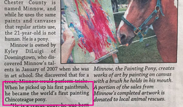 Minnow, the painting pony