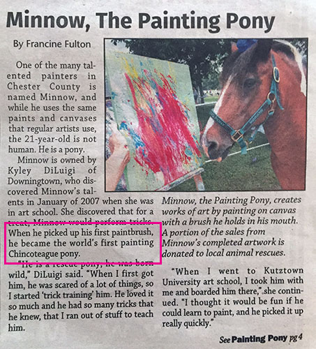 Monnow, the painting pony