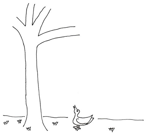 A duck looking up at a tree