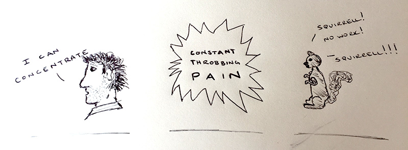  A sketch about human concentration, pain and squirrels