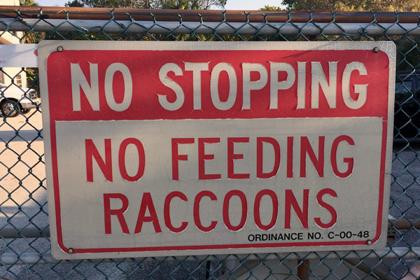 A sign reading "No stopping" and "No feeding raccoons"