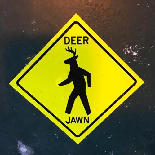  A deer jawn sign