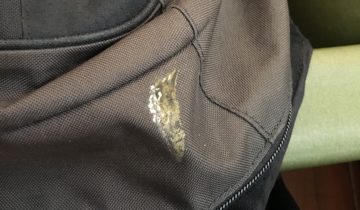 bird poop on a backpack